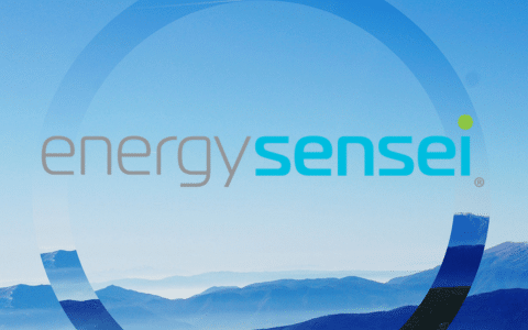 Energy Sensei Year in Review